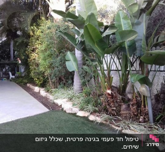 צמחים ירוקים וגבוהים בגינה עם דשא מלאכותי